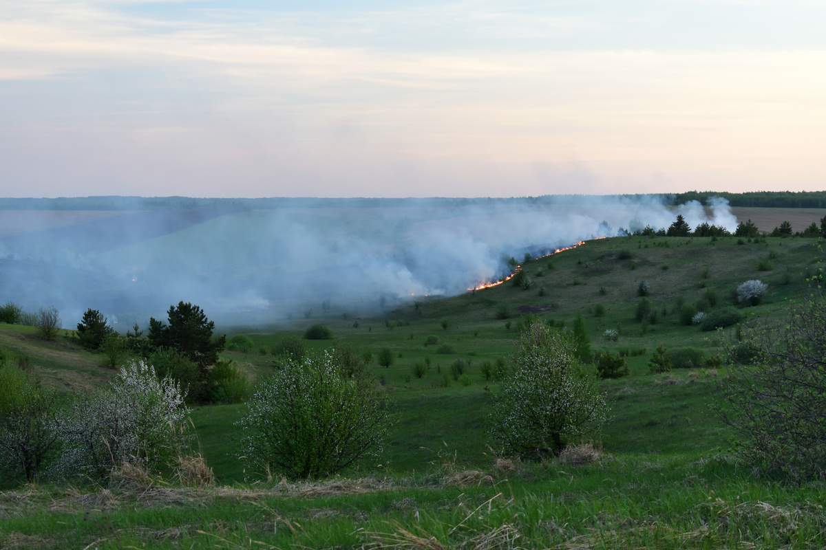 Последствия очередного пала травы (Мордовия, 30.04.2024).