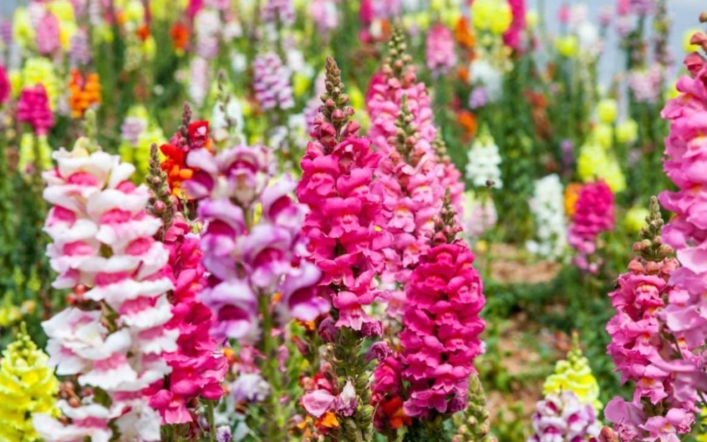 Фото из архива