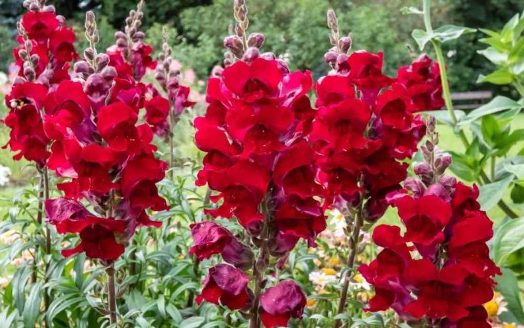 Фото из архива