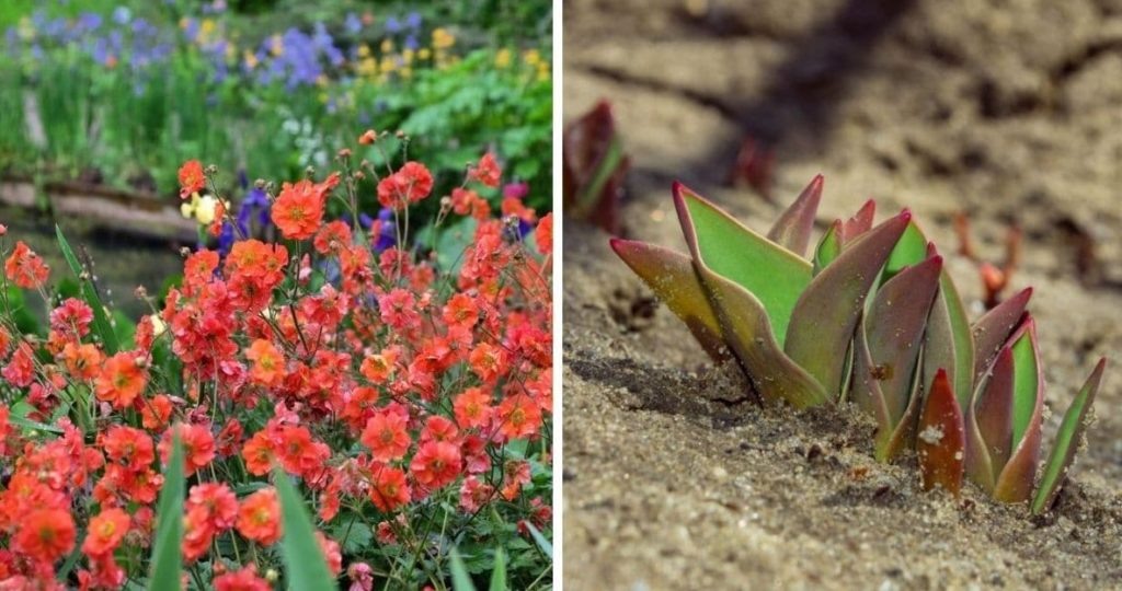 Фото из архива