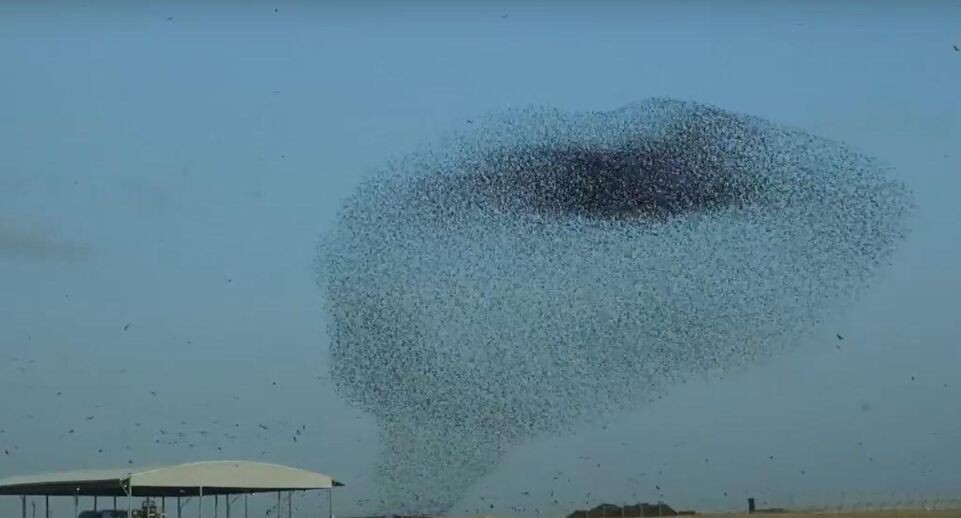    «ВКонтакте»