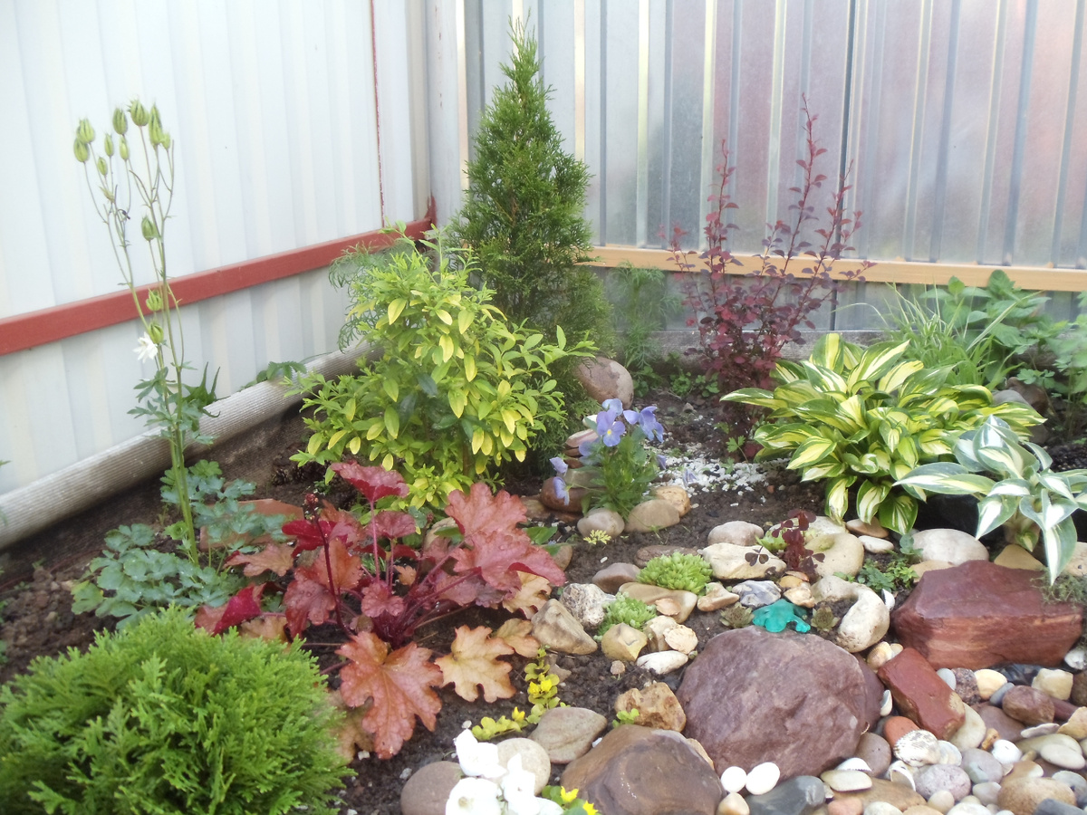 вот так тот уголок выглядел в самом начале посадки. 2020 год