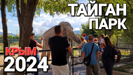 #ТАЙГАН ПАРК Все так хорошо начиналось! Парк львов 2024 г. Как то все грустно, покажу все как есть.