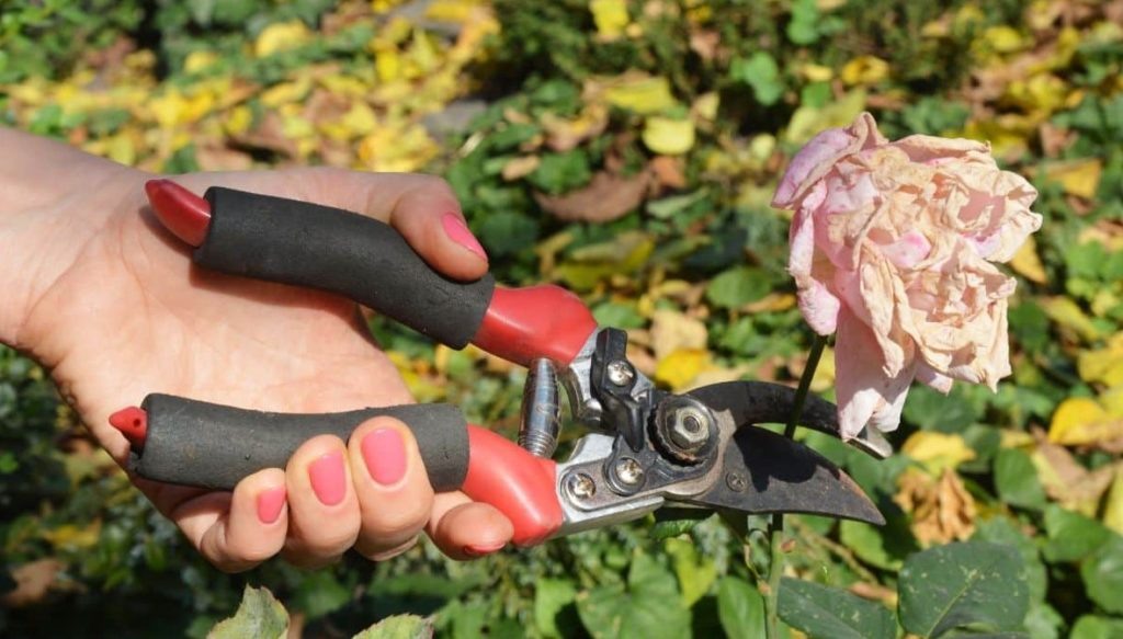 Фото из архива