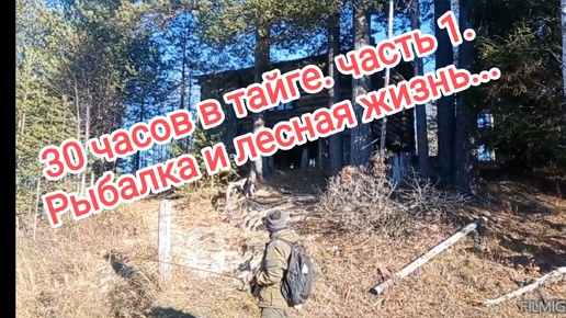 Приключения 30 часов в тайге. Часть 1.