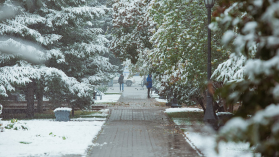    Первый снег в Москве может выпасть уже в понедельник, 14 октября Роман Захаров