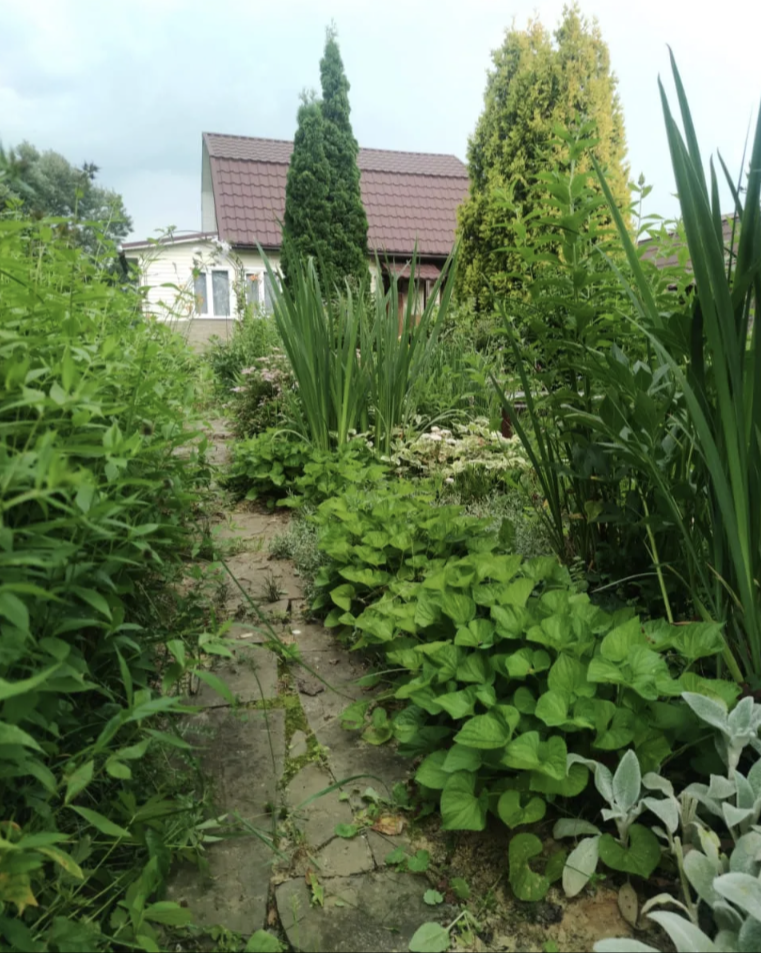 Вид в другую сторону ...