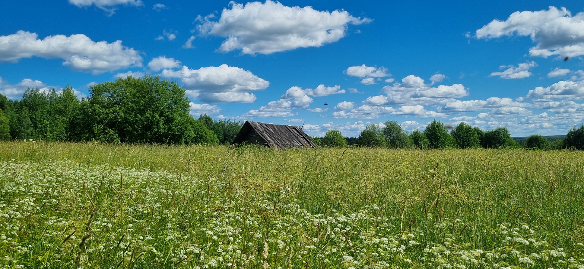 Деревня Солдатово