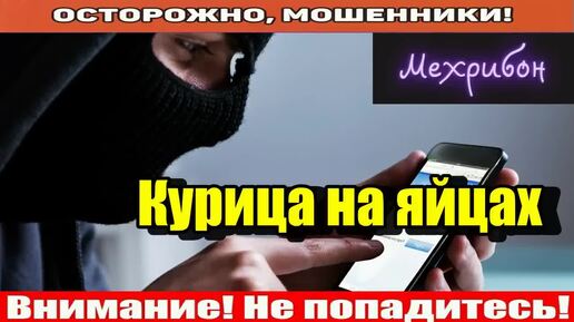 Мошенники звонят по телефону _ Доступ к госуслугам.