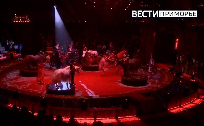   Источник фото: архивное