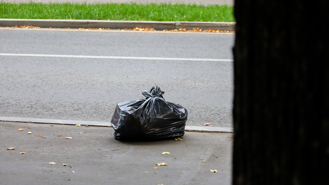    Фото: Elena Mayorova/Globallookpress