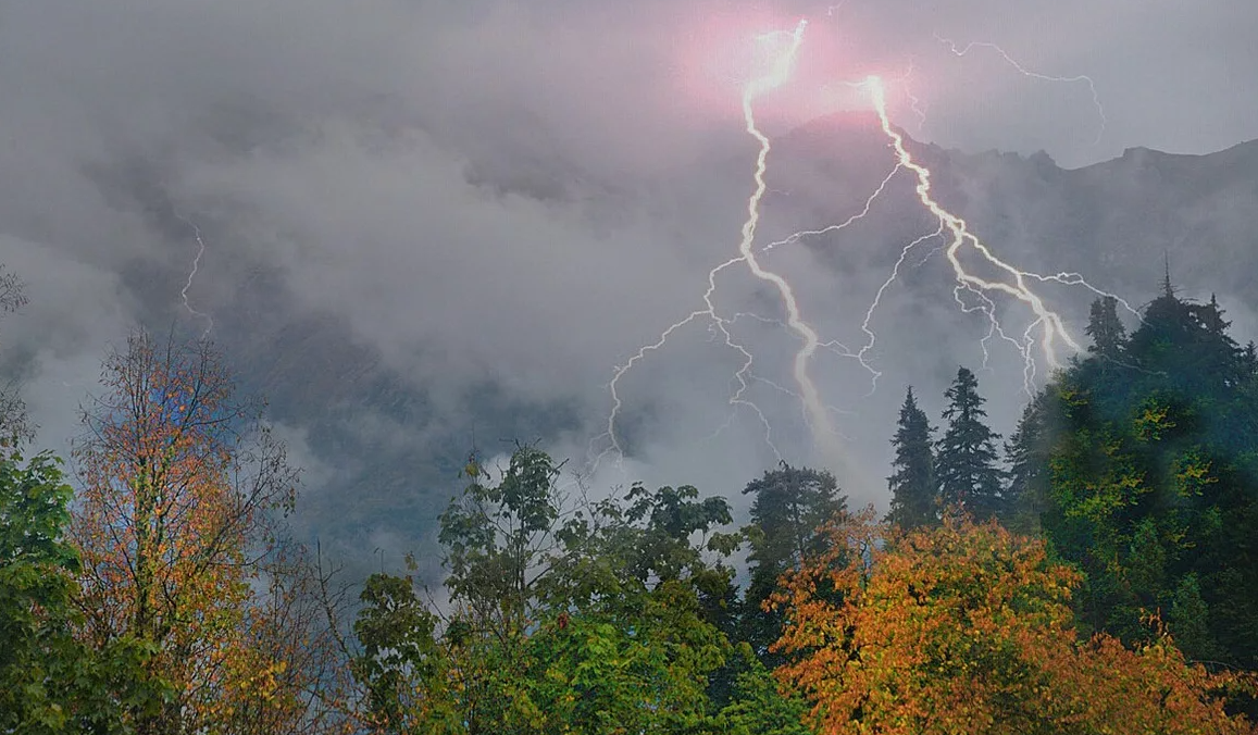 Яндекс картинки