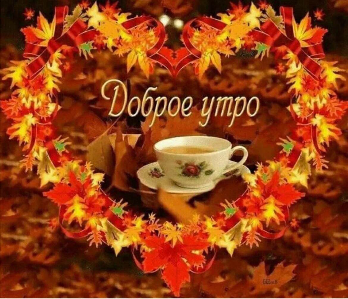 Открытки с добрым утром осенние 2022 года. С добрым утром осенним с пожеланиями. Открытки с добрым утром осенние. Доброе осеннее утро. Доброе осеннее утро гифки новые.