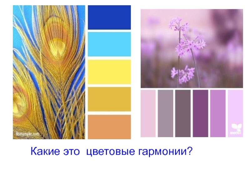  Теплые и холодные оттенки     