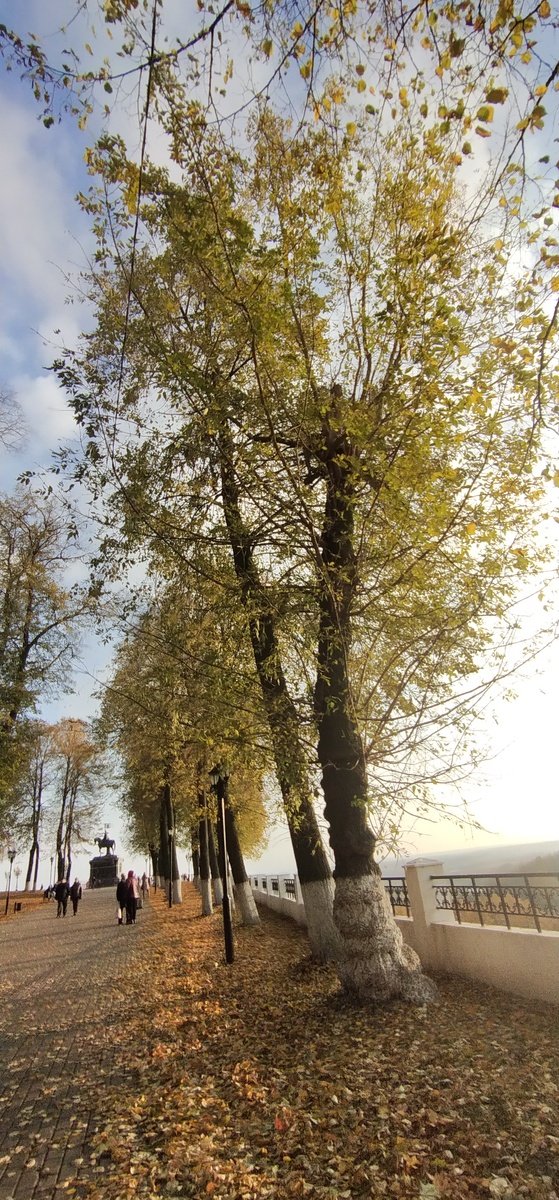 Личное фото