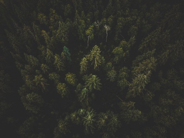 Фото Ben den Engelsen на Unsplash