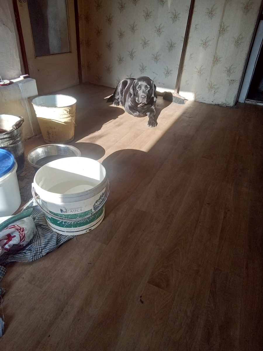 Фото автора.