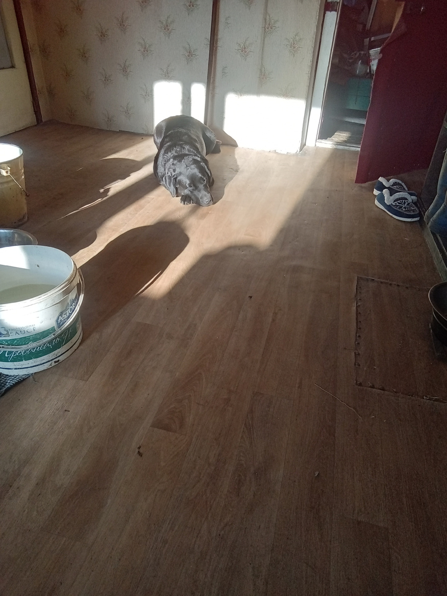 Фото автора.Ничего интересного не происходит-можно и выспаться.