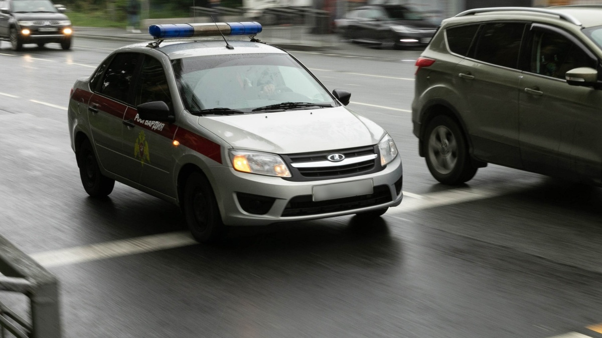     Источник: Пресс-служба Управления Росгвардии Приморья