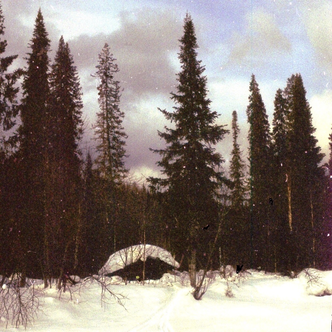Приживаешься к избе (фото автора)