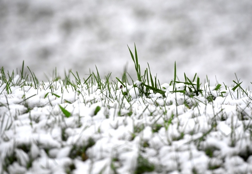     © РИА Новости. Максим Богодвид