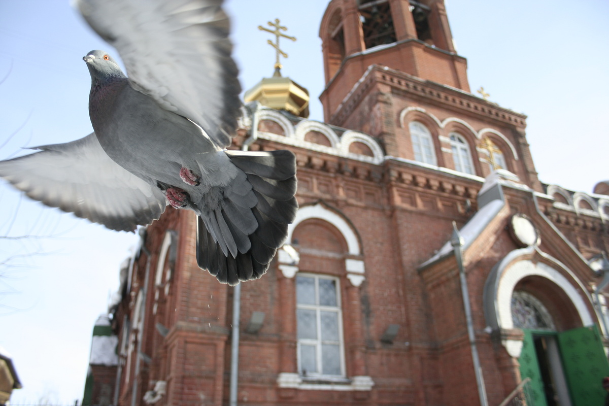 Фото: Виктор Крутов/АиФ 