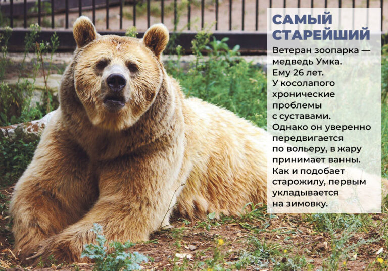 Фото: Виталий ГАРКУША