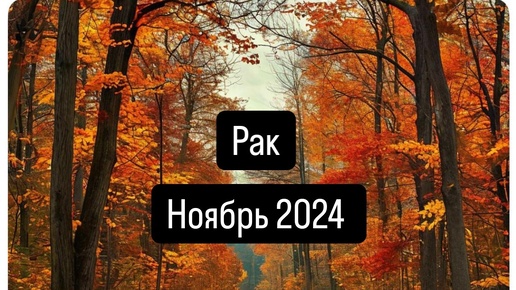 РАК.Прогноз на Ноябрь 2024