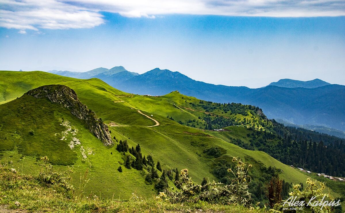 Один из участков на перевале Зекари. Грузия.