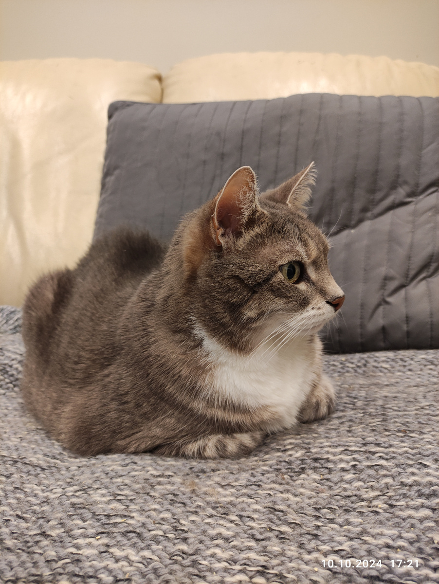 За два дня до мучительной кончины.