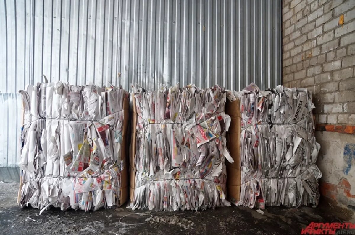    Удмуртия вошла в ТОП-7 по сбору макулатуры в рамках акции «БумБатл»