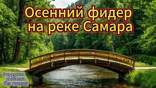 Осенний фидер на реке Самара