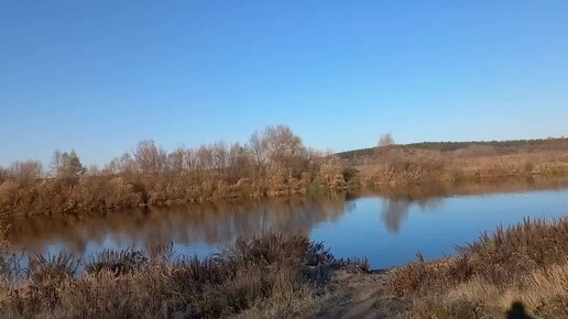 Впервые ловлю эту рыбу...