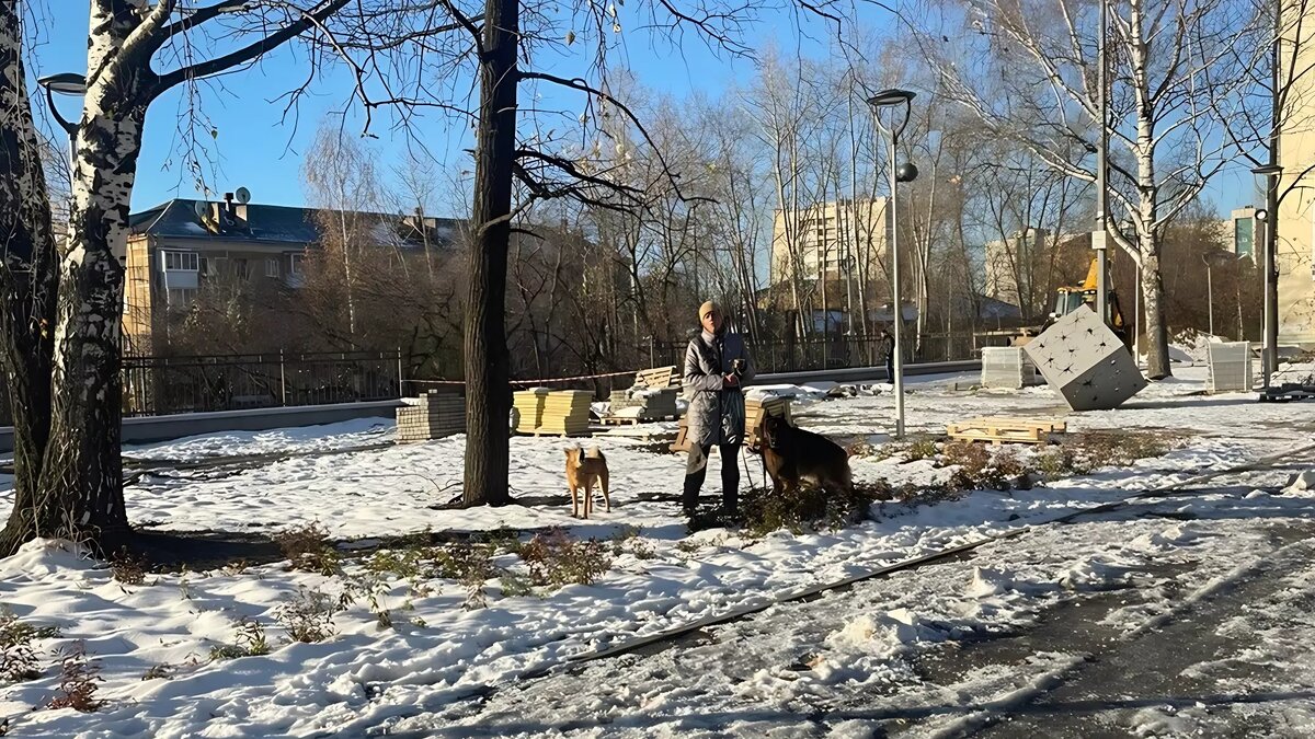     Источник: «Тагил без ям»