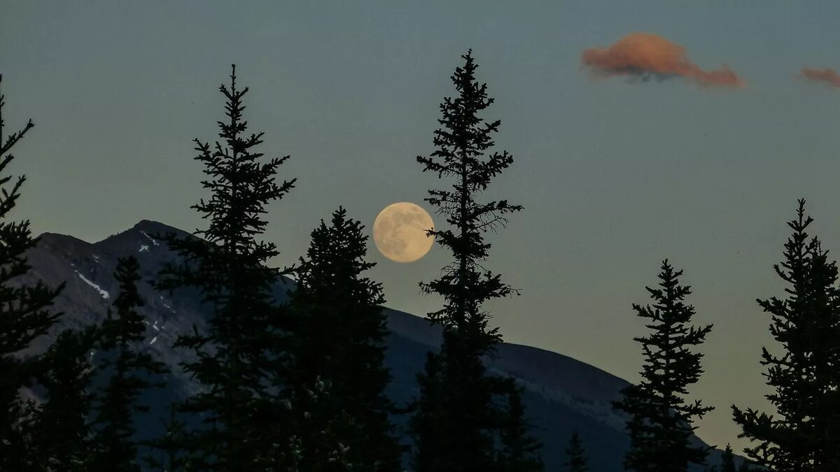 © Photo : Unsplash / Kym MacKinnon 