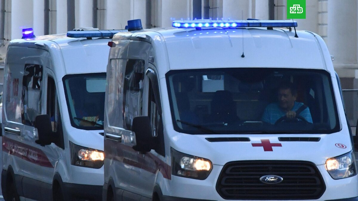    Фото: РИА Новости © 2024, Наталья Селиверстова