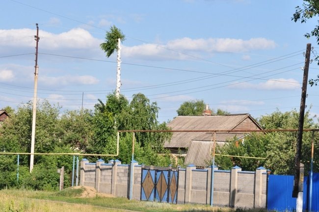    Курская область / дом