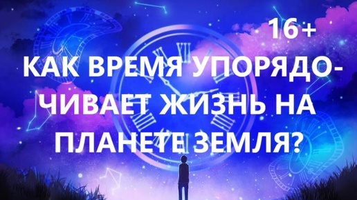 Как энергия времени упорядочивает жизнь на планете Земля?