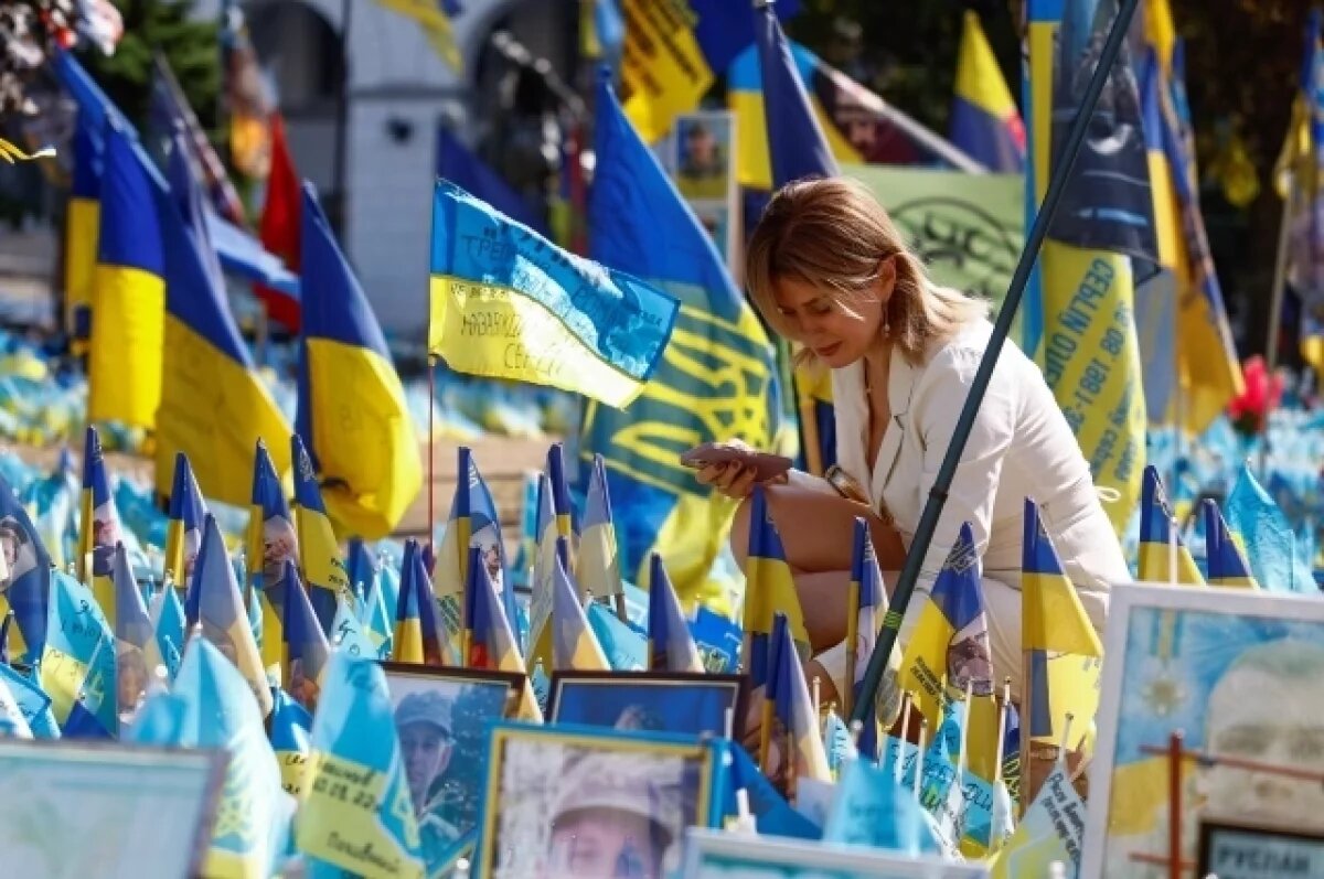    Дотком: отказ Германии поставлять оружие Киеву говорит о поражении Украины
