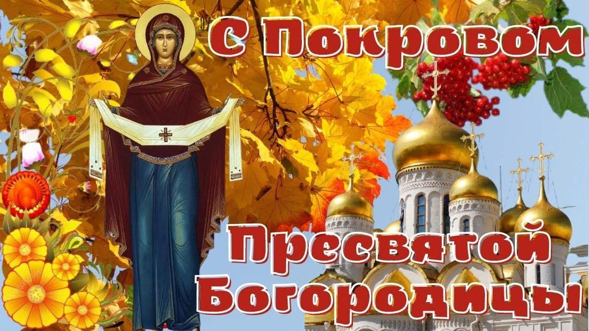 яндекс картинки