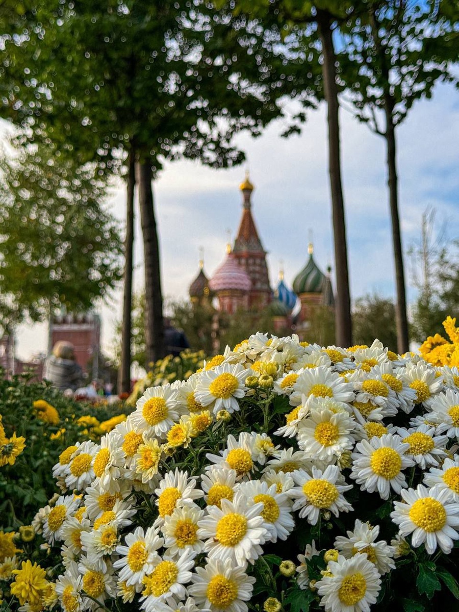 Собор Василия Блаженного 