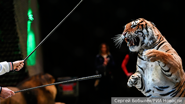     Фото: Сергей Бобылев/РИА Новости   
 Текст: Дмитрий Зубарев