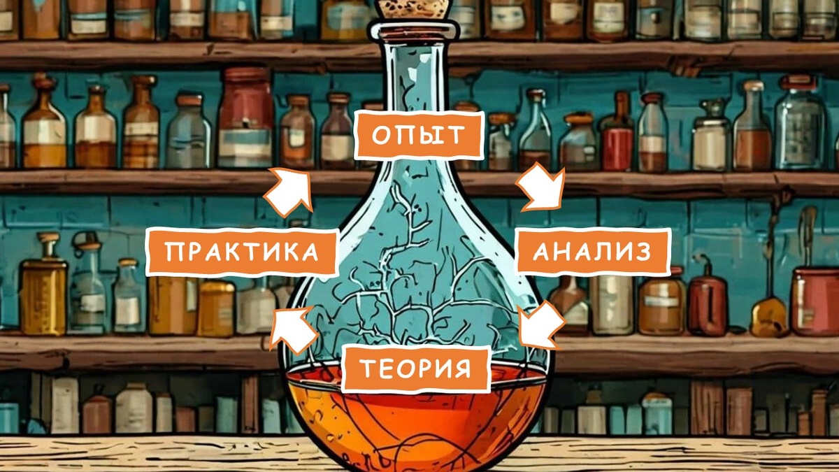 Цикл Колба. (Прости нас, Дэвид Колб)