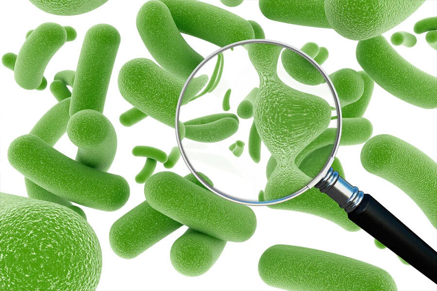 Картинка из свободных источников интернета 