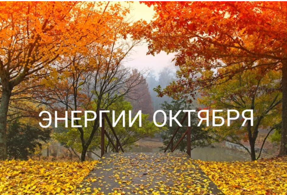 Месяц трансформаций 