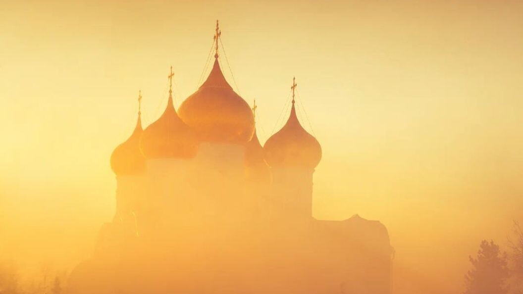    Фото: Dmitry/Savin/shutterstock