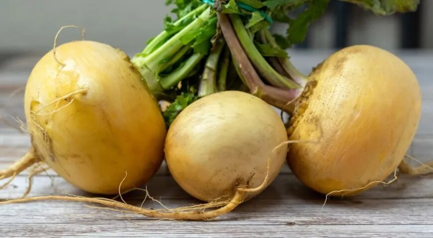   Репа — низкокалорийный продукт (shutterstock)