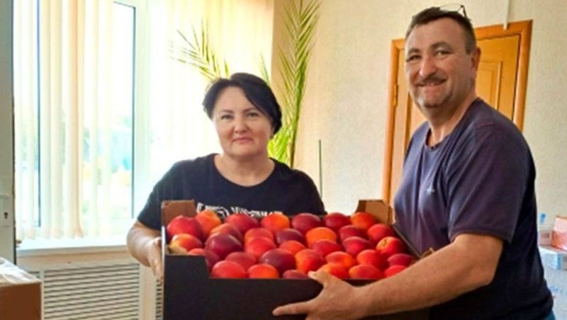      Фото: СФР по Ставропольскому краю