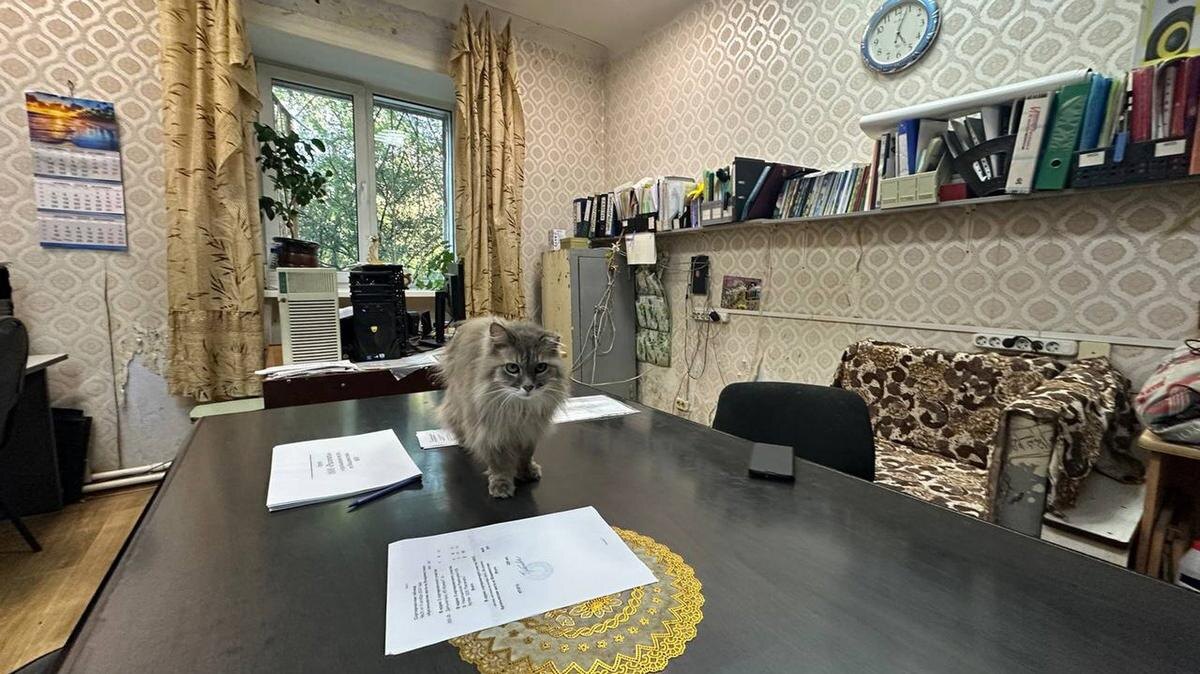 В редакции газеты «Арсеньевские вести». 