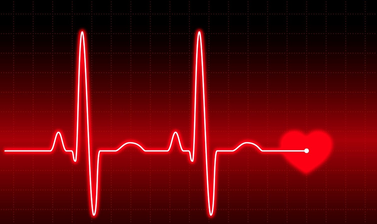    Сможете ли вы прямо сейчас угадать, сколько ударов делает сердце за день? Ответ в конце статьи! Источник изображения: In Future